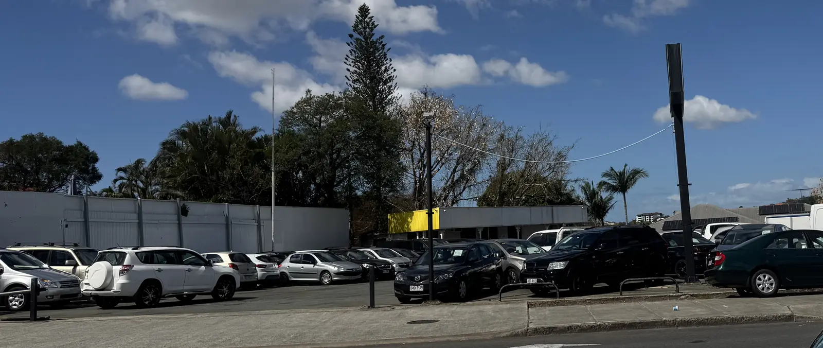 The BrizCars yard seen from across the road: rows of cars, a tall sign pole on the corner and a pine tree behind